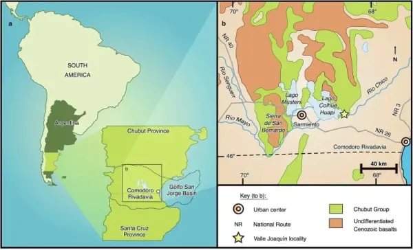 Location of the study area in south-central Chubut Province, central Patagonia, Argentina. Simplified geologic map showing the informally named Valle Joaquín locality in the Upper Cretaceous Lago Colhué Huapi Formation (part of the Chubut Group) that yielded Joaquinraptor casali gen. et sp. nov. (CREDIT: Nature Communications)