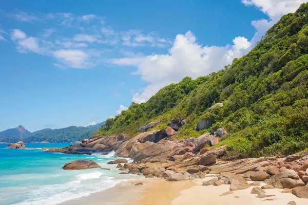 Lopes Mendes beach on the island of Ilha Grande houses howler monkeys and hummingbirds.