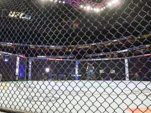 MMA: UFC 270-Hansen vs Jasudavicius