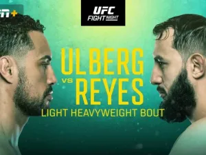 ufc fight night