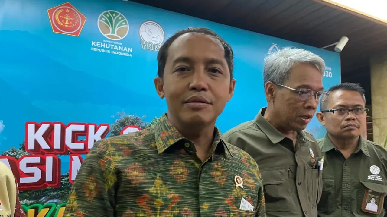 WALHI Tantang Raja Juli Tangkap Pelaku Pembalakan Liar usai Mengaku Tak Kenal Aziz Wellang