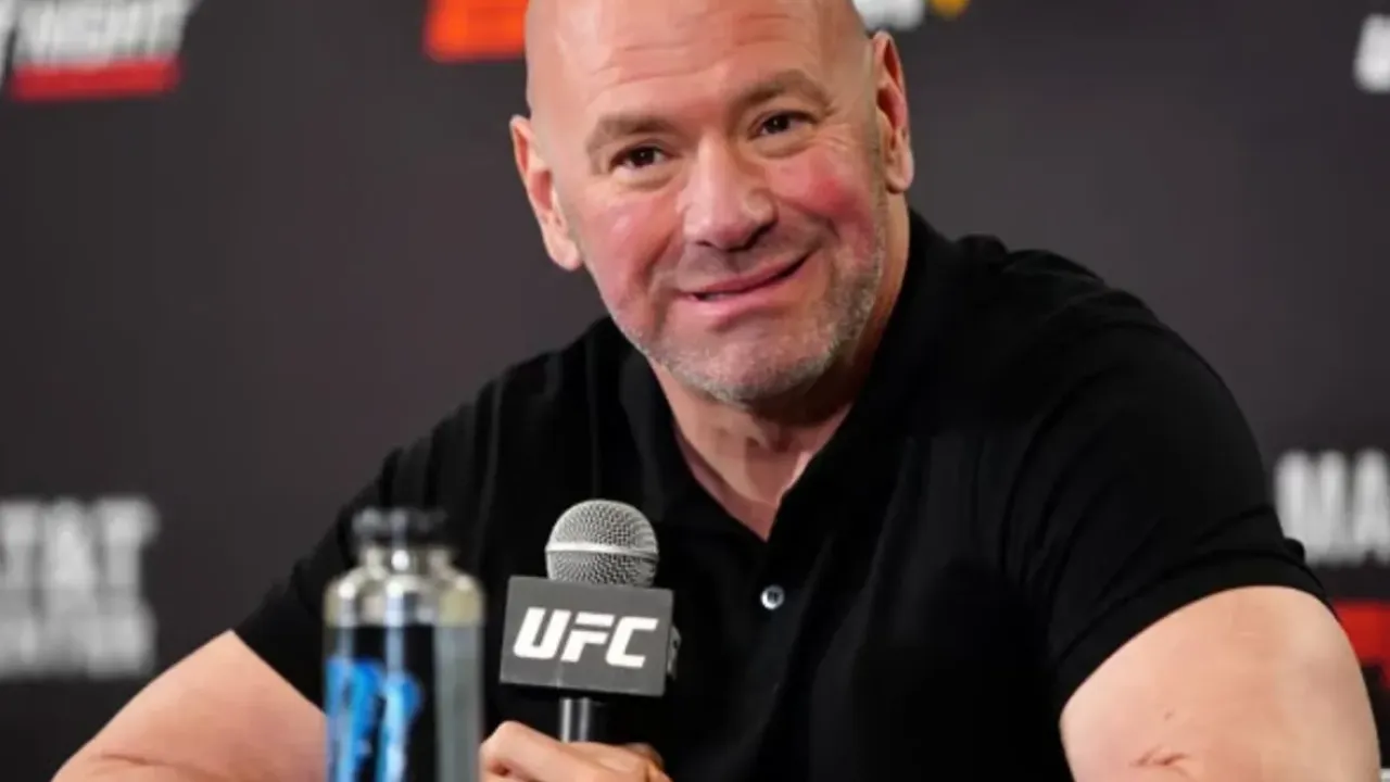 Who Owns The UFC USA Today News