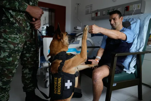 Emotional support dog Kratos salutes wounded Sgt. Jeisson Sanchez at the military hospital in Bogota, Colombia, Thursday, Oct. 2, 2025. (AP Photo/Fernando Vergara)(ASSOCIATED PRESS)