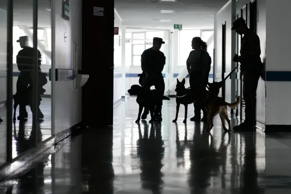 Emotional support dogs and their guides walk through the corridors of a military hospital before visiting wounded soldiers in Bogota, Colombia, Thursday, Oct. 2, 2025. (AP Photo/Fernando Vergara)(ASSOCIATED PRESS)