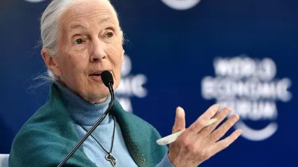 Dalam file ini foto yang diambil pada 22 Januari 2020 Jane Goodall Utusan Damai PBB, berbicara di Mengamankan Masa Depan Berkelanjutan untuk Amazon, selama Forum Ekonomi Dunia di Davos, Swiss. - Primatolog Inggris terkenal di dunia Jane Goodall, 82 tahun, mengatakan pada 11 April 2020, pandemi coronavirus disebabkan oleh pengabaian manusia terhadap alam dan rasa tidak hormat pada hewan