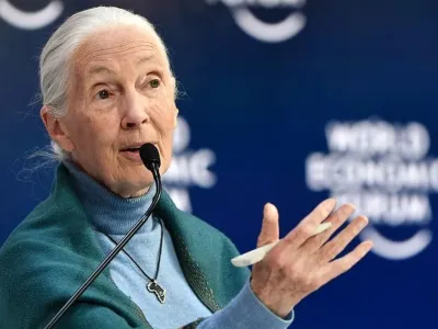Dalam file ini foto yang diambil pada 22 Januari 2020 Jane Goodall Utusan Damai PBB, berbicara di Mengamankan Masa Depan Berkelanjutan untuk Amazon, selama Forum Ekonomi Dunia di Davos, Swiss. - Primatolog Inggris terkenal di dunia Jane Goodall, 82 tahun, mengatakan pada 11 April 2020, pandemi coronavirus disebabkan oleh pengabaian manusia terhadap alam dan rasa tidak hormat pada hewan