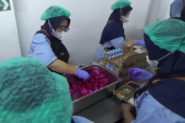 Relawan dapur SPPG Purbalingga Wetan menyiapkan buah naga untuk menu makan bergizi gratis. Standar kebersihan dijaga ketat mulai dari penggunaan sarung tangan hingga penutup kepala