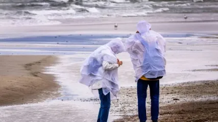 Walkers with rain protection search for amber in strong winds on the Baltic Sea beach at Warnemuende. Severe weather roiled Germany on Sunday, causing damage in several states and injuring at least two people - though on the coast, windsurfers embraced the conditions. Jens B&#xfc;ttner/dpa