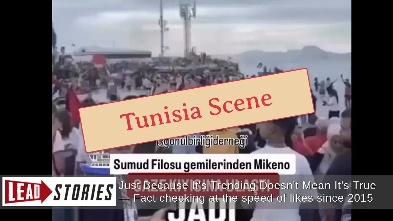 Fact Check: Video Does NOT Show Arrival Of Samud Flotilla In Gaza -- Crowd Gathered On Tunisia Beach To Support Them Passing By