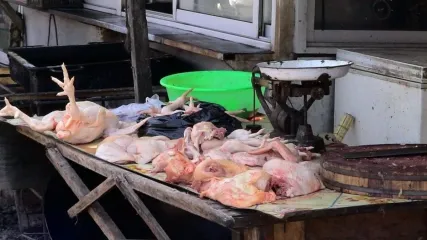Ilustrasi komoditas ayam di pasar tradisional