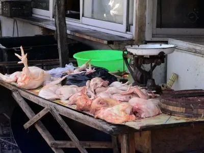 Ilustrasi komoditas ayam di pasar tradisional