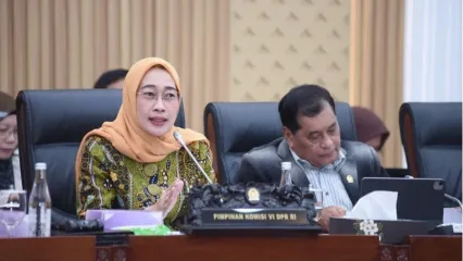 Ketua Komisi VI DPR Anggia Ermarini. 