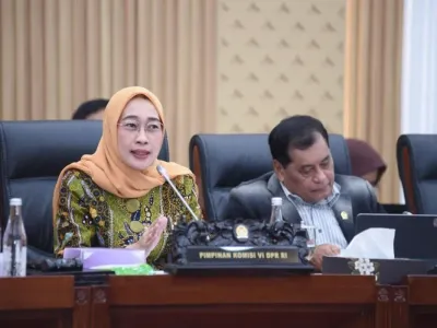 Ketua Komisi VI DPR Anggia Ermarini. 