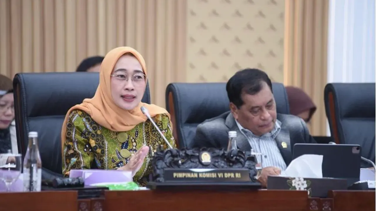 Ketua Komisi VI DPR Anggia Ermarini. 
