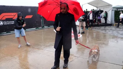 Lewis Hamilton often took his dog Roscoe along with him to race weekends and he became a fan favourite