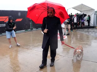Lewis Hamilton often took his dog Roscoe along with him to race weekends and he became a fan favourite
