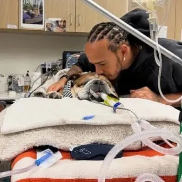 Lewis Hamilton with his dog Roscoe in an animal hospital