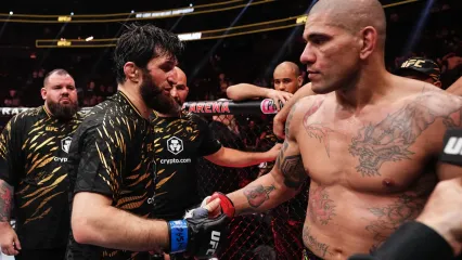 Magomed Ankalaev and Alex Pereira at UFC 313