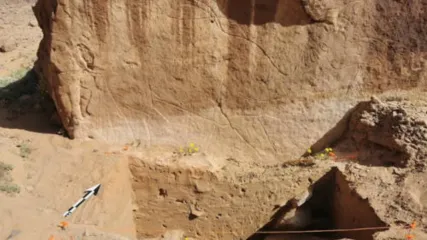 Michael Petraglia&sol;Sahout Rock Art and Archaeology Project