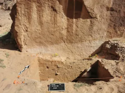 Michael Petraglia&sol;Sahout Rock Art and Archaeology Project