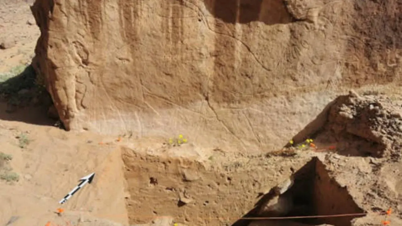 Michael Petraglia&sol;Sahout Rock Art and Archaeology Project