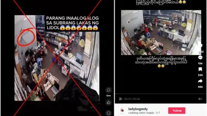 <span>Screenshot comparison of the false video (L) and the Ladybug CCTV footage uploaded to TikTok </span>