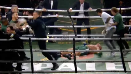 Wanderlei Silva